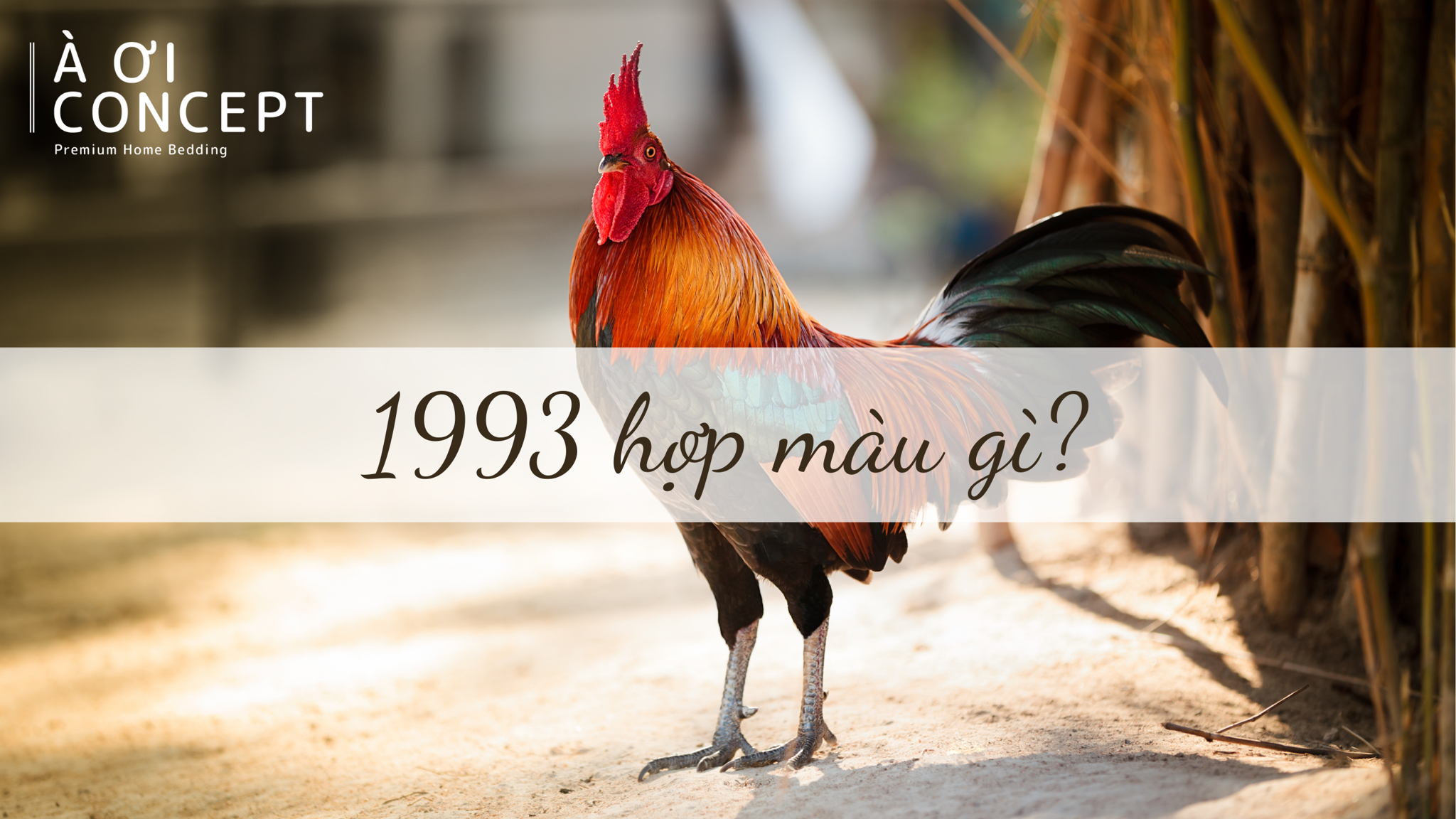 Cach ung dung mau sac hop menh Kiem Phong Kim 1993 trong thiet ke hoac vat pham phong thuy